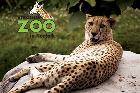 Virginia Zoo - Virginia Beach Visitors Guide