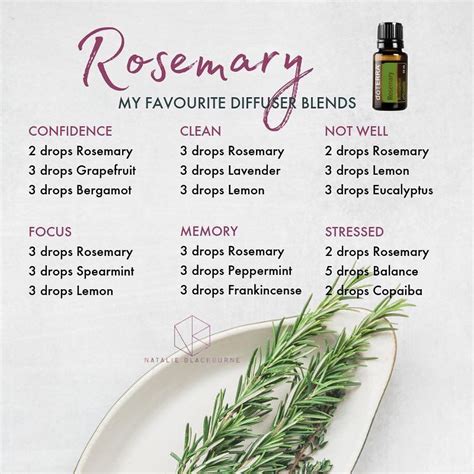 Rosemary Essential Oil Benefits In Diffuser