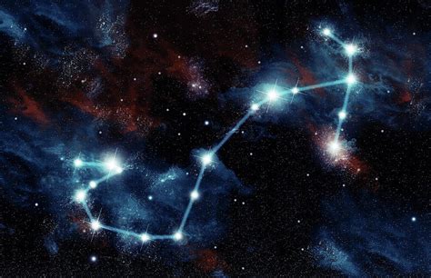 Constellation Of Scorpio The Scorpion #1 Photograph by Marc Ward - Pixels