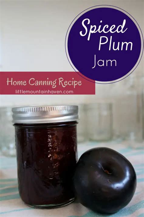 Canned Spiced Plum Jam