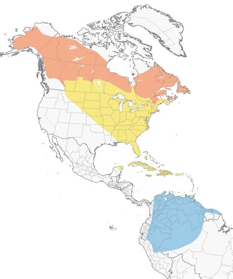 Blackpoll Warbler Migration Map