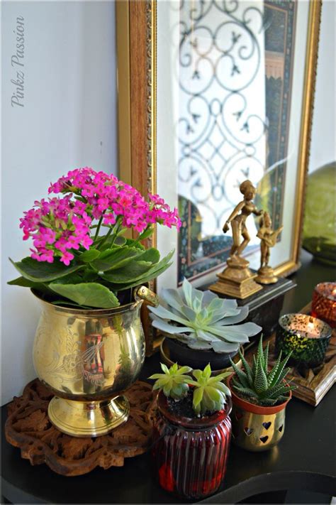 Succulents, succulent decor, global decor, plants at home, green patch | Global decor, Global ...