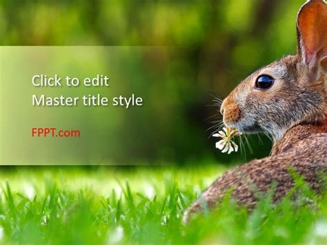 Free Hare PowerPoint Template - Free PowerPoint Templates