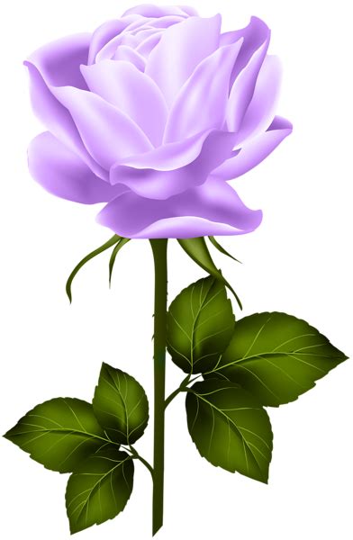 Purple Rose with Stem PNG Clip Art | Flower clipart, Flower drawing, Beautiful rose flowers