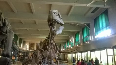 Visitamos el Museo de Ciencias Naturales.