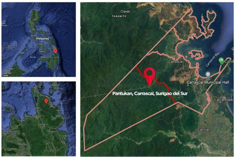 Figure 1. Location map of Barangay Pantukan, Carrascal, Surigao del Sur ...