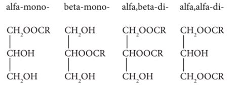 What are Mono and Diglycerides (E471) in Food? Does it contain Trans ...