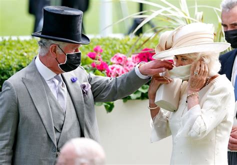 Prince Charles and Camilla’s Christmas card 'cute and timely' | Woman ...