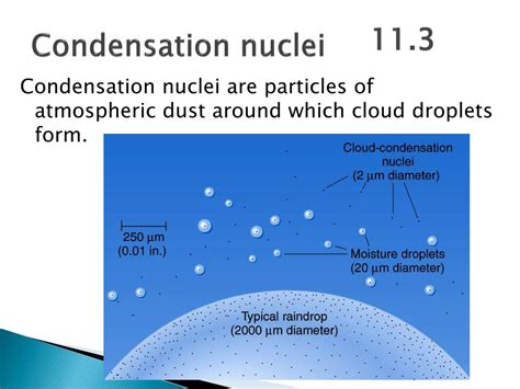 PPT - The Atmosphere and Meteorology PowerPoint Presentation, free download - ID:4913847