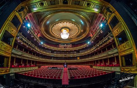 Teatro de la Zarzuela (Madrid) - 2020 All You Need to Know Before You Go (with Photos) - Madrid ...