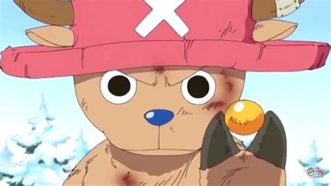 One Piece 1058, Ungkap Alasan Bounty Chopper Cuma 1000 Berries, Oda Pilih-pilih? - Halaman 2