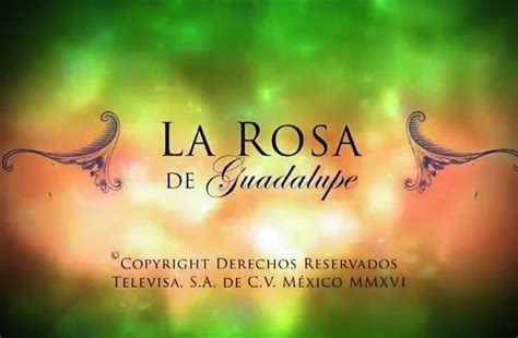 ¿A qué se debe el éxito de ‘La Rosa de Guadalupe’, serie de Televisa y ...