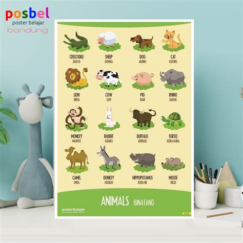 Jual Poster Hewan Edukasi Anak Balita Paud TK Mainan Posbel Gambar ...