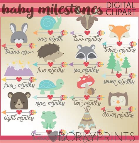 Baby Age Milestones Clipart personal and Limited Commercial - Etsy Finland