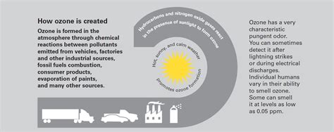 Ozone Effects | California Air Resources Board