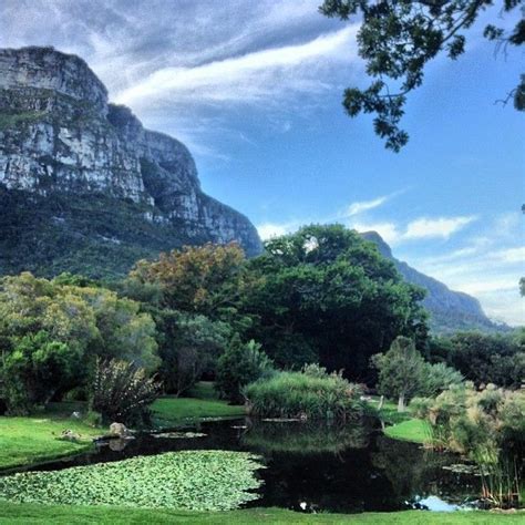 Cape Town, South Africa - Botanical Gardens | Botanical gardens, Around the worlds, Outdoor