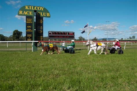 Kilcoy races a success :: Beaudesert Hibernian Race Club