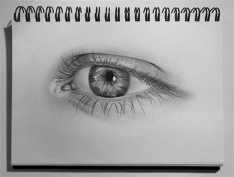 How to Draw a Realistic Eye: A Step-by-Step Tutorial | LaptrinhX / News