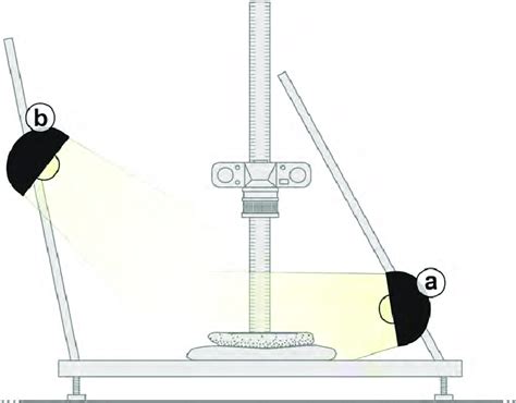 Setting for oblique lighting, with a very low-positioned main light... | Download Scientific Diagram