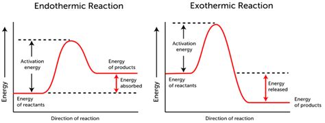 Activation Energy & Arrhenius Equation