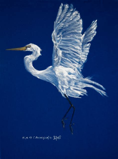 White Heron On Blue Velvet: Bird Painting By Claudia Luethi alias ...