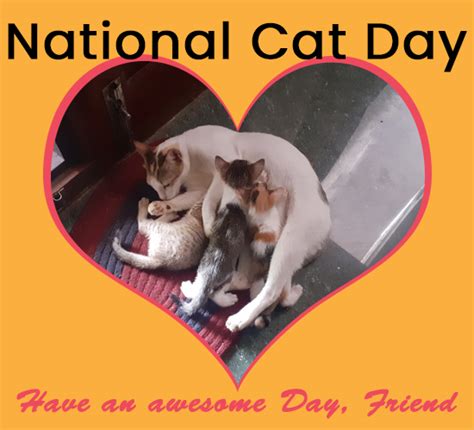 National Cat Day, Cat Parent. Free National Cat Day eCards | 123 Greetings