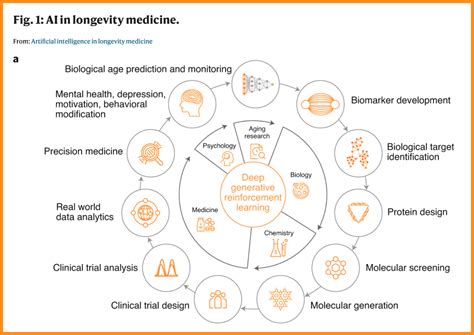 AI-Enabled Doctors Will Specialize In Longevity Medicine | The Pharmaceutical Marketing Group