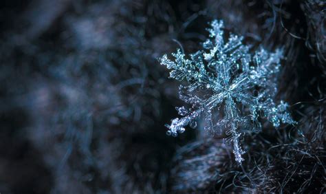 Star Schema vs Snowflake Schema: 5 Key differences - MyData AG