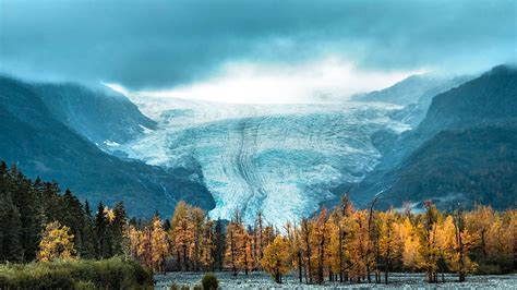 Exit Glacier in Kenai Fjords National Park - National Park Trips