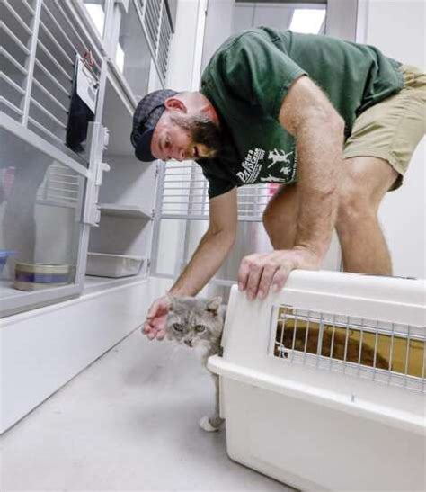 Animals moved into new Iowa City animal shelter | The Gazette