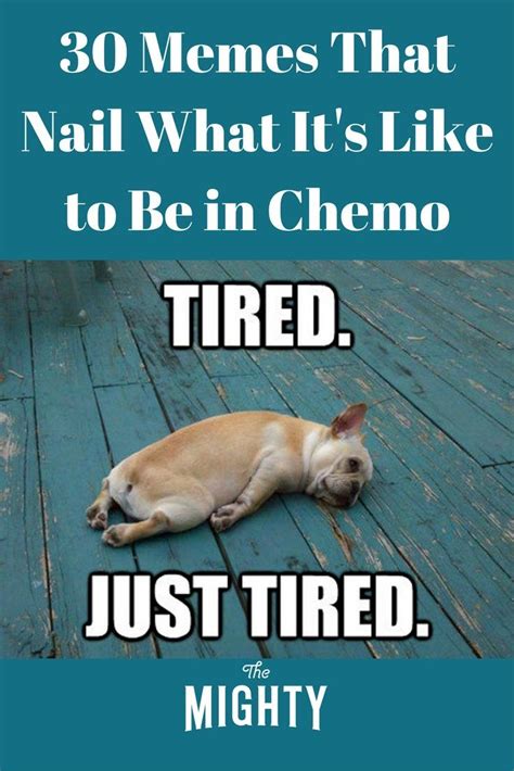 30 Memes That Nail What It's Like to Be in Chemo | New funny memes, Super funny memes, Funny memes