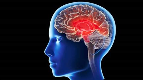 Mysterious and deadly ‘brain ailment’ alarms health officials in Canada | World News - Hindustan ...