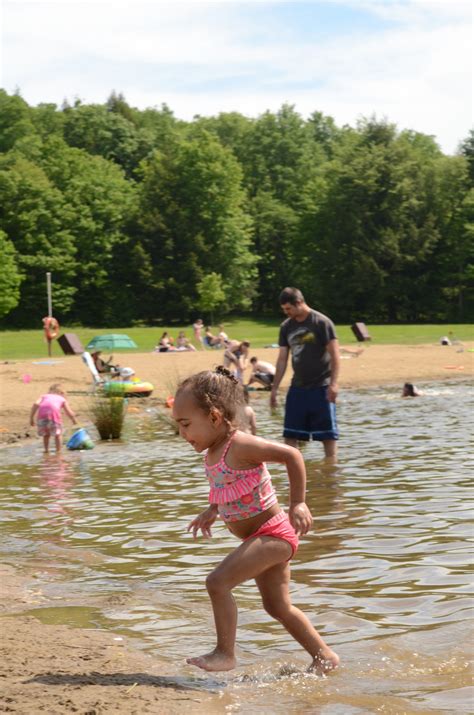 Chapman State Park beach opens to public | News, Sports, Jobs - Times ...