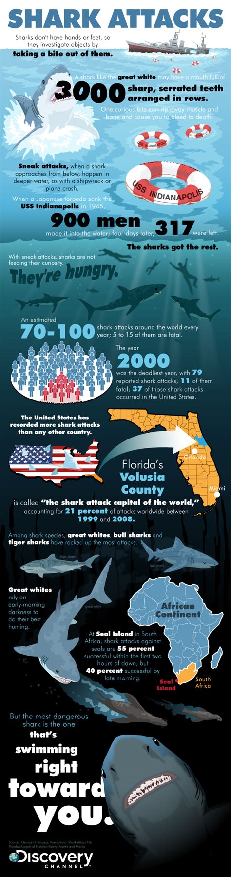 16 Remarkable Florida Shark Attacks Statistics - BrandonGaille.com