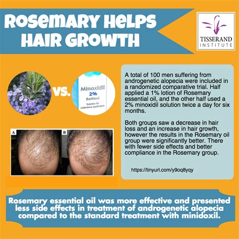 Rosemary essential oil is a promising alternative for hair growth promotion! - Tisserand Institute