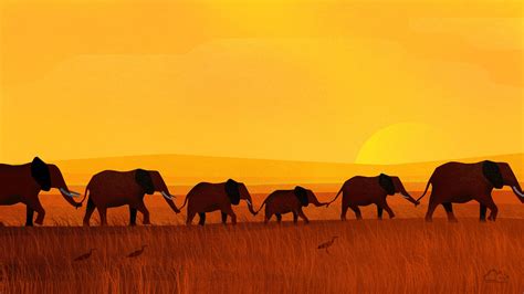 Wallpaper : landscape, sunset, desert, elephant, Sahara, digitalocean, grassland, herd, plain ...