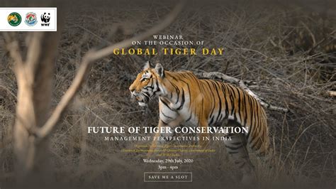 FUTURE OF TIGER CONSERVATION: MANAGEMENT PERSPECTIVES IN INDIA - YouTube