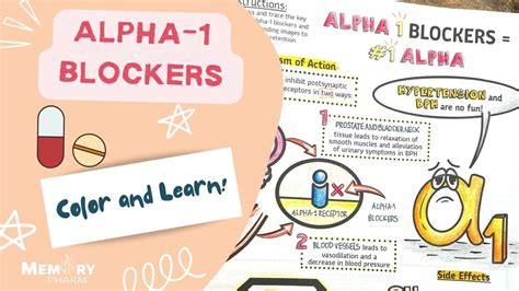 Alpha-1 Blockers Made Easy (Mnemonics, Mechanism of Action, Side Effects, Counseling Points ...