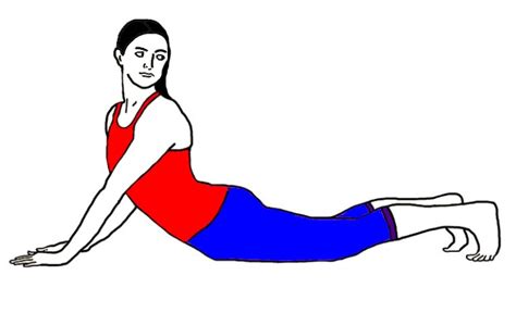 Bhujangasana Steps