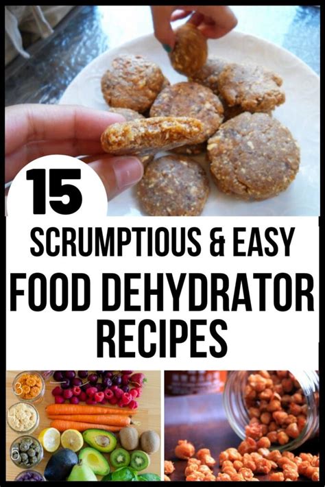 Dried Fruit + More Tasty Food Dehydrator Recipes