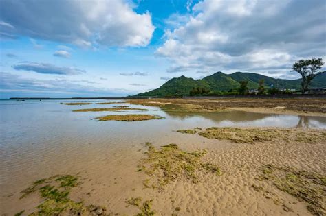 The Joyful Spirit of Tokunoshima | Kyushu Tourism Organization | Visit Kyushu