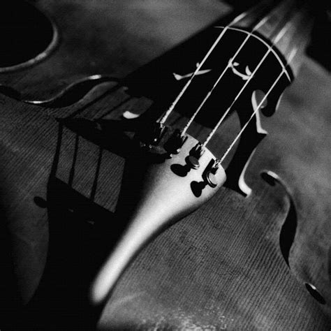 Cello Concertos | Exploring Music | WQXR