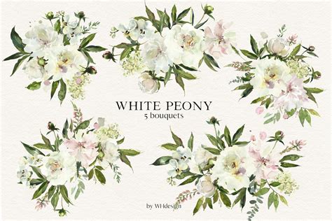 White Peony Watercolor Clipart | Clip art, White peonies, Watercolor clipart