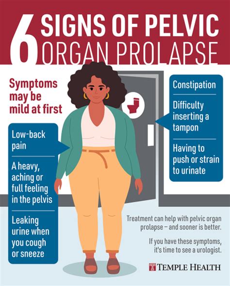 Pelvic Organ Prolapse: Symptoms and Treatment Options | Temple Health