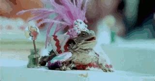 Iguana GIFs - Find & Share on GIPHY