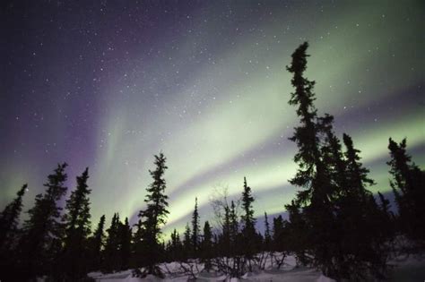 The 21 Best Places to See the Northern Lights in Alaska This Winter ...