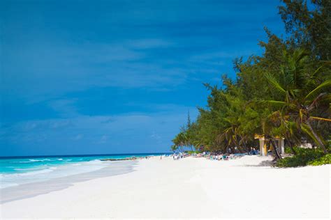 Tropical Beach In Barbados Free Stock Photo - Public Domain Pictures