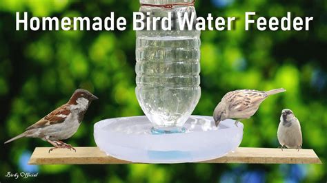 How To Make A Bird Water Feeder | DIY Homemade Plastic Bottle Bird ...