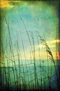 gentle... | ...the breeze blows on the surface. But, when I … | Flickr