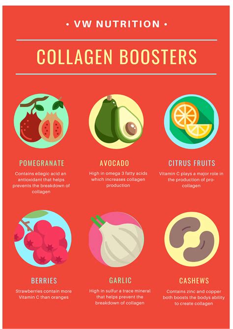 Foods to eat to Boost Collagen Production Virginia Williams Studio